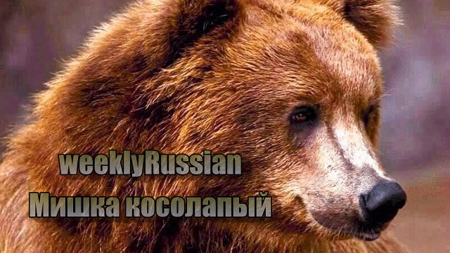 МИШКА КОСОЛАПЫЙ ПО ЛЕСУ ИДЕТ (С БОЛЬШИМИ СУБТИТРАМИ) | Песенки для самых маленьких