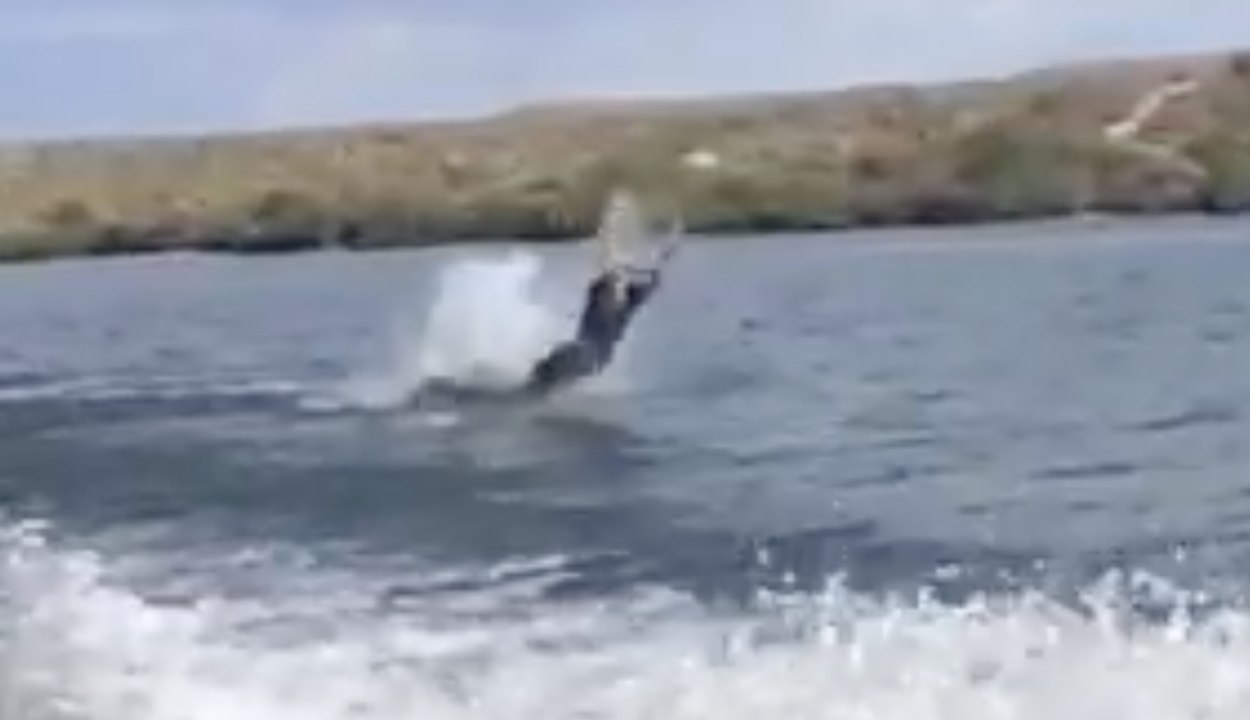 Video: Monday Mishap 7/28