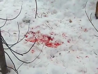 O filho escreve uma mensagem com sangue para sua mãe na neve
