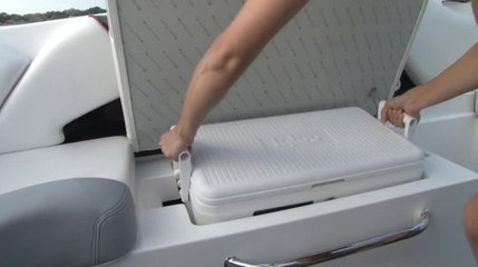 MasterCraft Removable Cooler