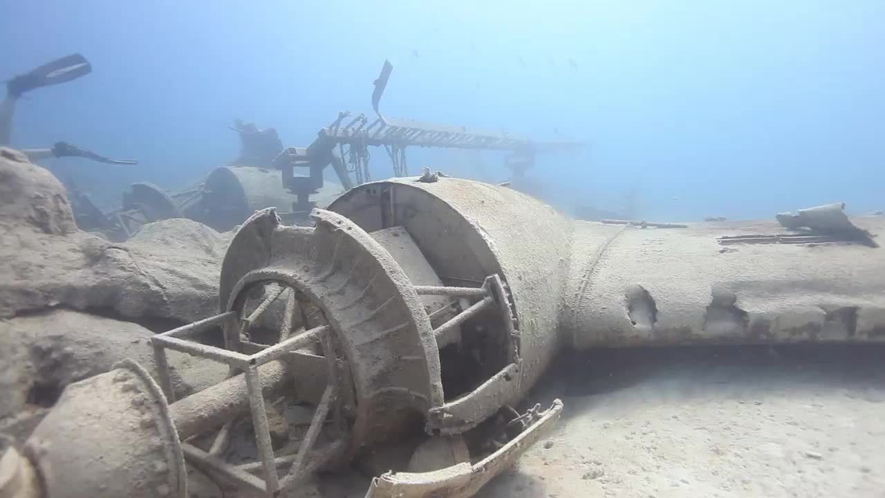 Stuart Cove's Dive Bahamas Top 5: Underwater Hollywood