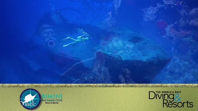 2012 World's Best Diving & Resorts Video: Bimini Big Game Club Resort and Marina