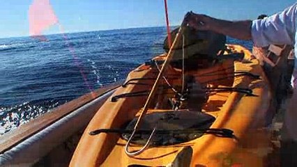 Episode 9 - Kayaking Cabo-Style