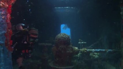 Ocean Corporation - Ultimate Diver Training