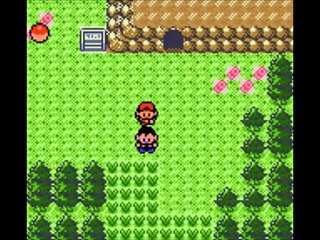 Pokemon Gold Version *Season 1* Episode 6- Violet City/Town
