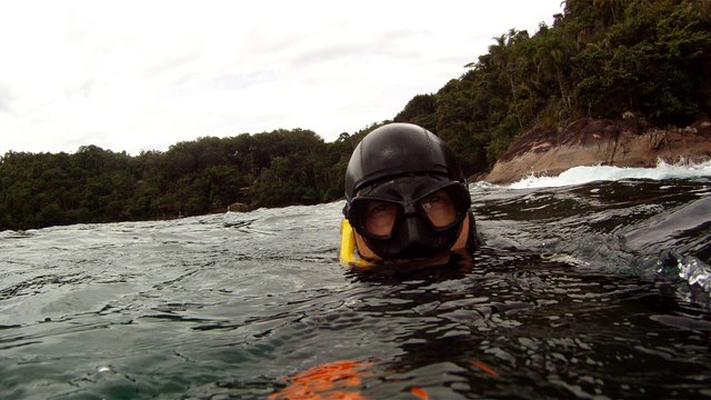 Mergulhando em Ubatuba, Natureza marinha, passeio de barco, Praia do Cedro, Praia do Alto, Ubatuba, SP, Brasil, Marcelo Ambrogi