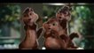 Chipmunks - Happy Birthday to u[funny songs]- Video.flv
