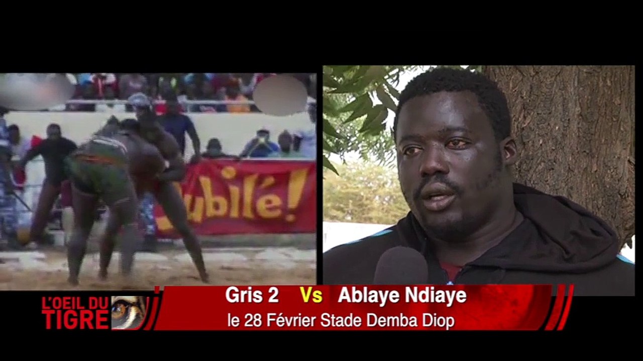 L'oeil du tigre - 23 Fevrier 2016 - Affiche Gris 2 Vs Ablaye Ndiaye