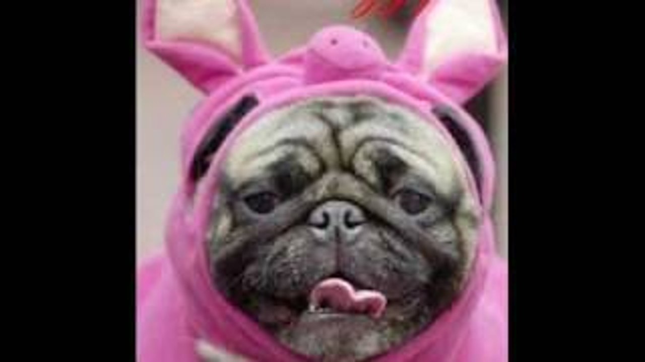 Dont worry, be happy!