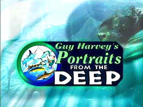 Circle Hooks and Sailfish