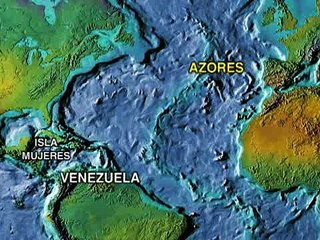 Underwater White Marlin