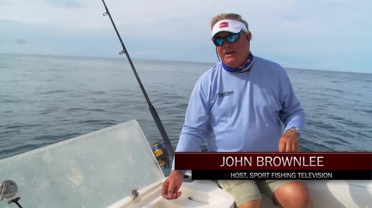 Briddling Live Bait
