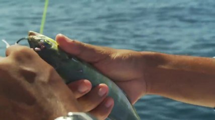 Bait and Switch Trolling