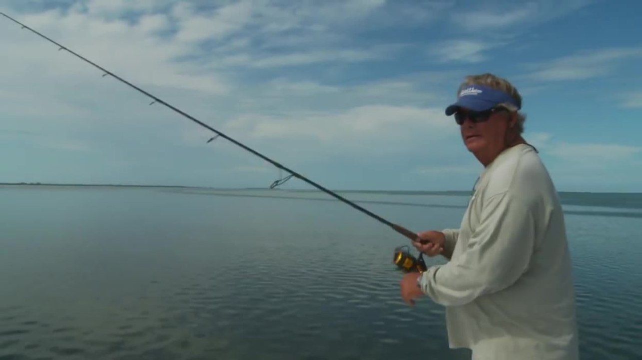 Get Reel - Artificials vs Live Bait