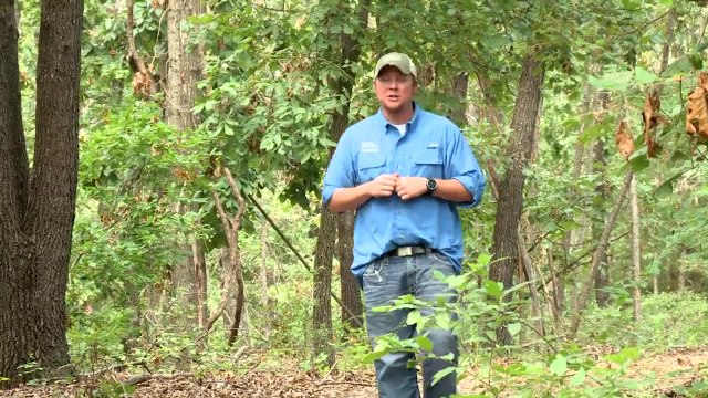 Deer Hunting Tip: Scout After Snow