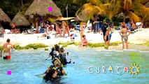 Curacao: A Top 5 Caribbean Diving Destination