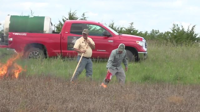 Heroes of Conservation 2014: The Prairie Protector in Action