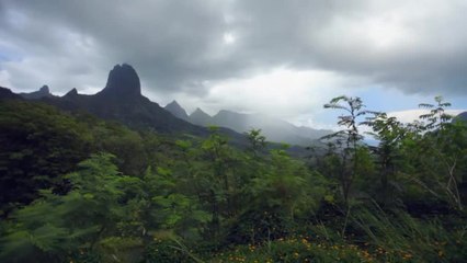 Destination Tahiti: Diving Adventure