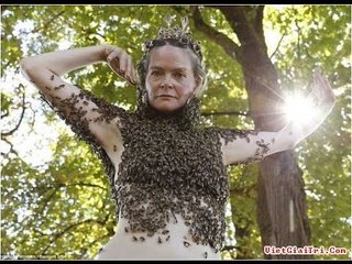 Chuyện khó tin - Người phụ nữ không mặc áo để 12 ngàn con ong đậu lên người