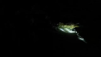 Shooting Re-enactments