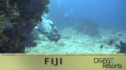 World's Best Diving and Resorts: FIJI