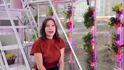 Vertical Veggie Farm