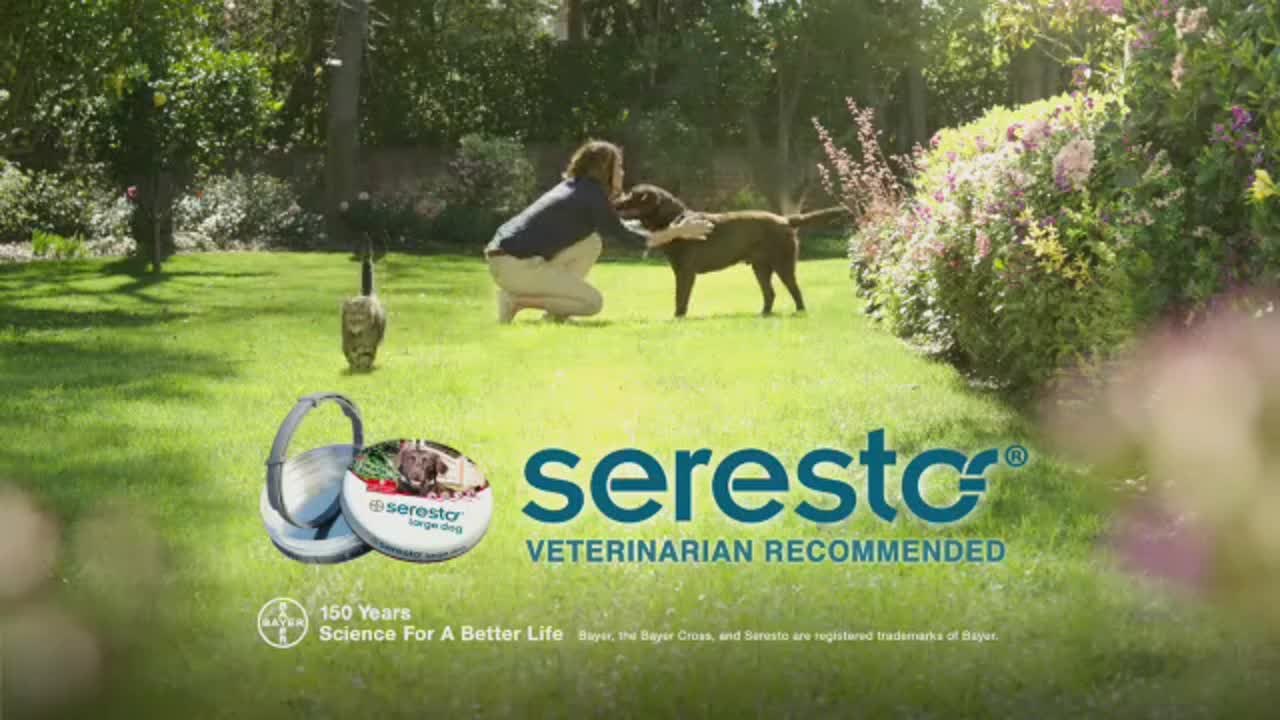 Seresto Easy Handling 30