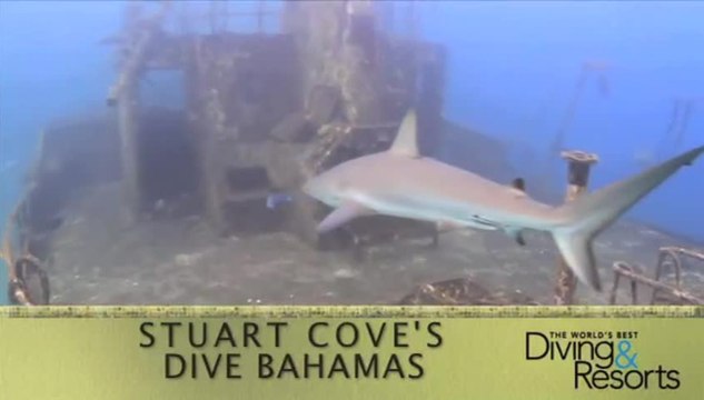 World's Best Diving and Resorts Video: Stuart Cove's Dive Bahamas