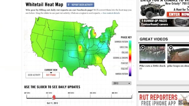 The Whitetail Rut in 2013
