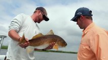 Louisiana Reds - Part 2 of 3