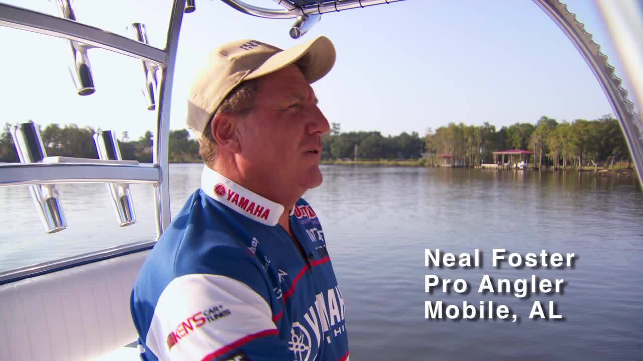 Gulf Chronicles: Neal Foster