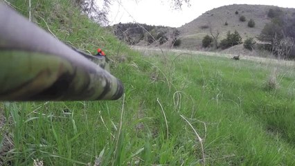 The Secret to a Great Turkey Hunt: Don’t Shoot