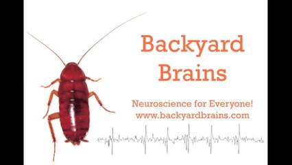 Backyard Brains' RoboRoach Surgery Instructions