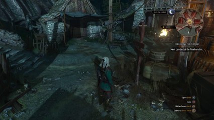 The Witcher 3: Wild Hunt location find diagram ( ENHANCED DIMERITIUM BOMB)