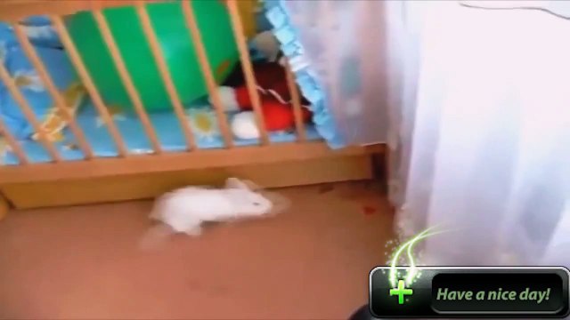 7. Vine.eğlenceli, kısa videolar. Birkaç saniye lol. [aslında uygulama] yurtdışı ama . tanıtım videosu.