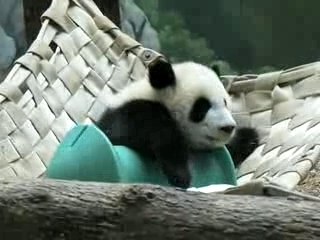 Mei Lan enjoys her first Enrichment Day
