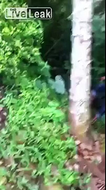 Kid walking up the coconut tree