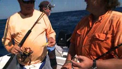 Episode 13 - Best of SFTV