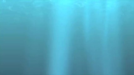 Exploring the Socorro Islands aboard the Baja Aggressor