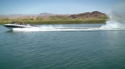 Centurion Gun Sight Control