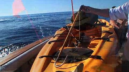 Episode 9 - Kayaking Cabo-Style