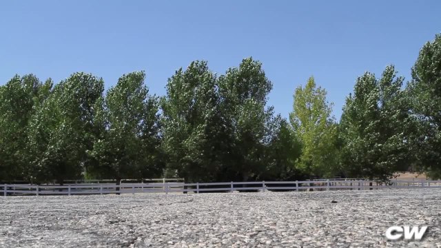 2011 Kawasaki ZX-10R - First Look