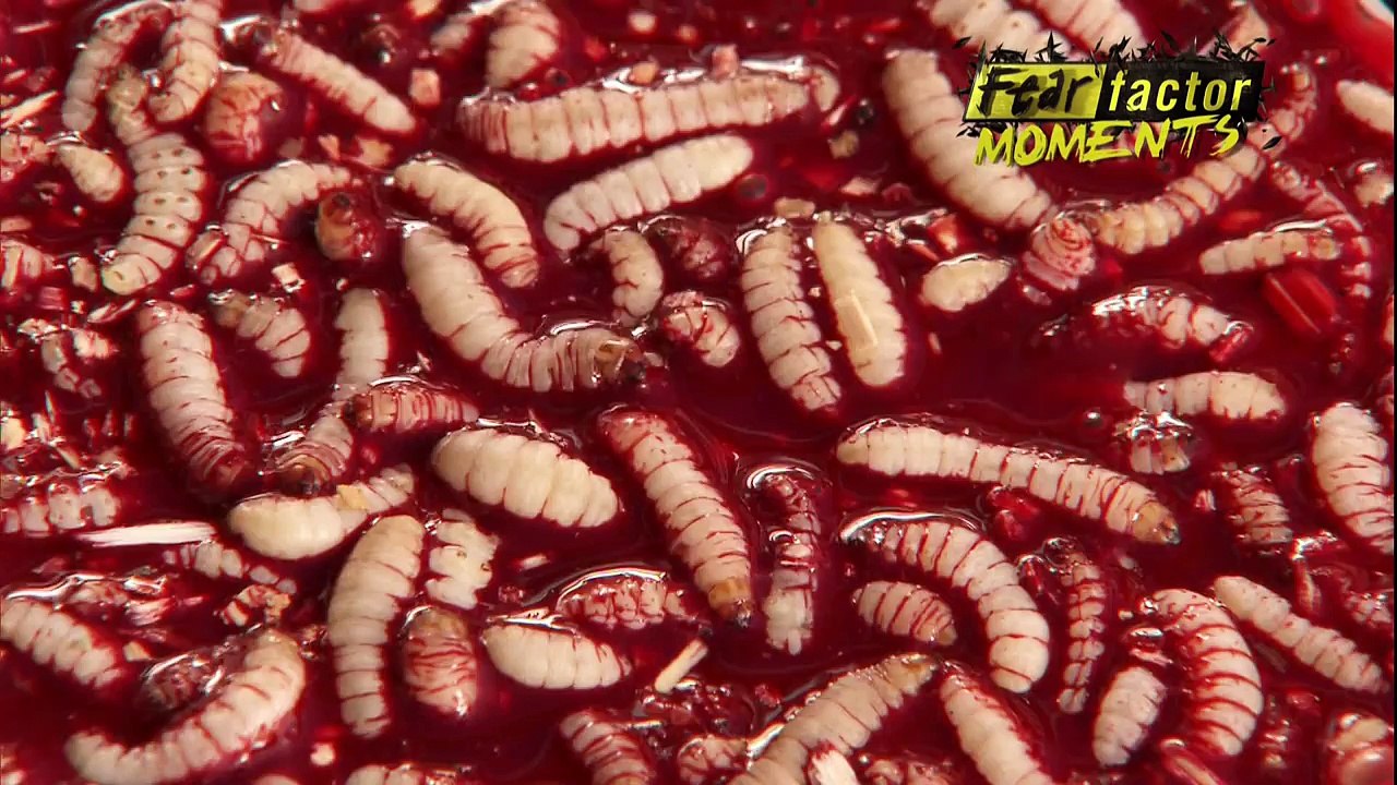 Fear Factor Moments | Fear Factor Roach Coach