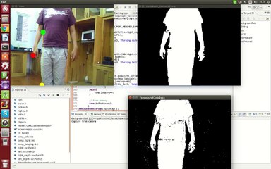 Human Gesture Recognition