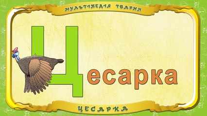 Мультіпедія тварин. Літера Ц Цесарка
