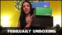 Battle of the Boxes - FEBRUARY UNBOXING - LootCrate/SuperGeekBox/1UpBox