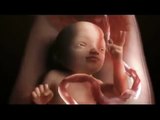 Desarrollo del feto 7 a 8 meses 3 de 4 flv.mp4(eder i.s)