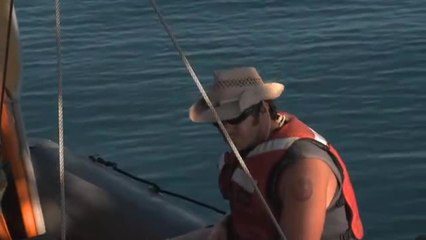 Greenpeace in Dry Tortugas