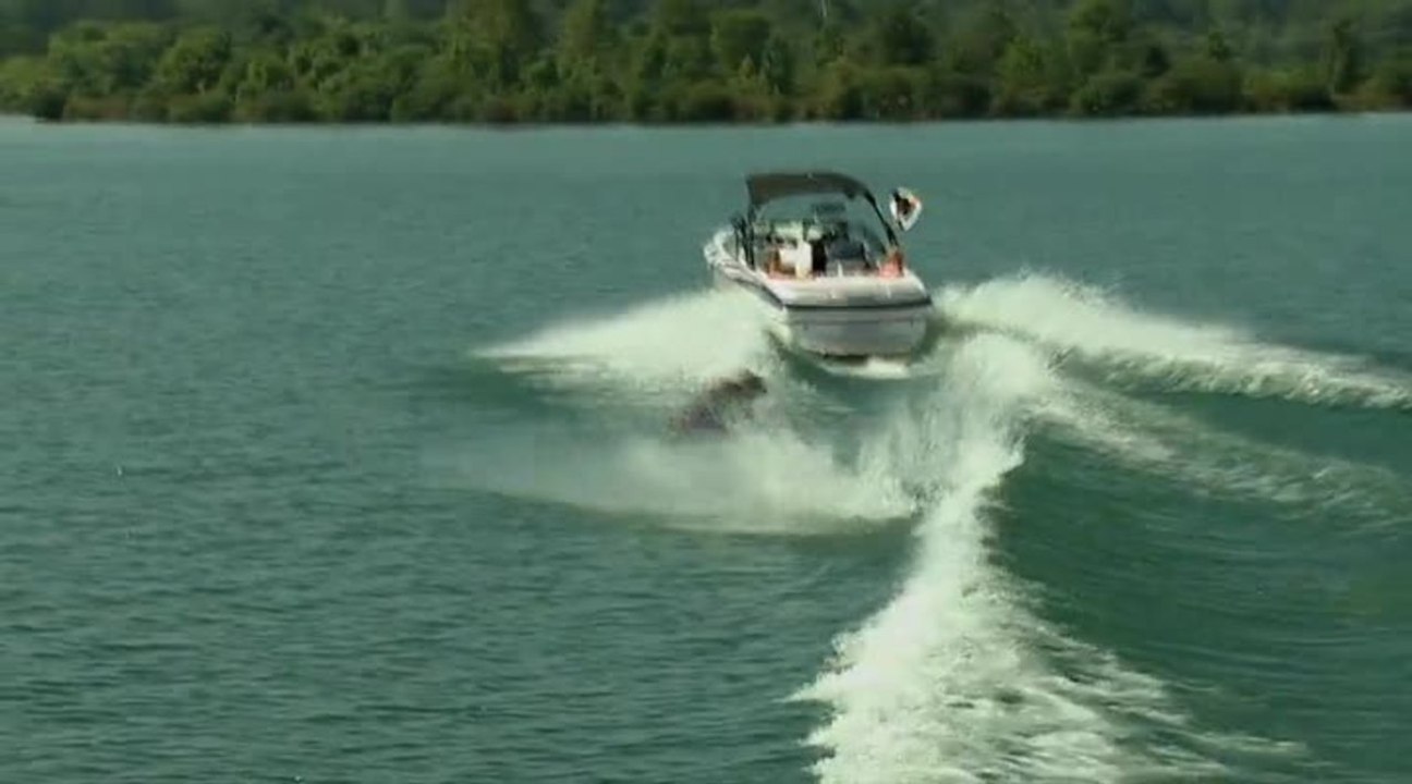 Surf-Plus Platform