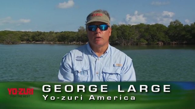 Yo- Zuri - Sinking Lures